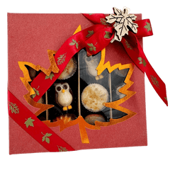 Mix of autumn pralines in a red gift box 5407008477561 The Belgian Chocolate Makers