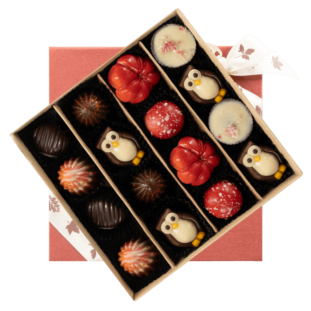Mix of autumn pralines in a red gift box 5407008477561 The Belgian Chocolate Makers