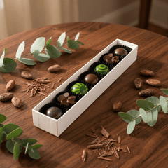 Tropical sea pralines box (mixed) 105g 5407008479718 The Belgian Chocolate Makers