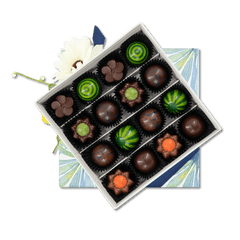 Tropical sea pralines box (mixed) 240g 5407008479749 The Belgian Chocolate Makers