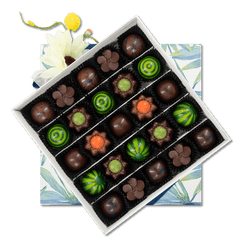 Tropical sea pralines box (mixed) 375g 5407008479756 The Belgian Chocolate Makers