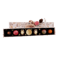 Warm shadow pralines 105g 5407008478469 The Belgian Chocolate Makers