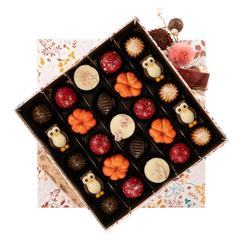 Warm shadow pralines 375g 5407008478476 The Belgian Chocolate Makers