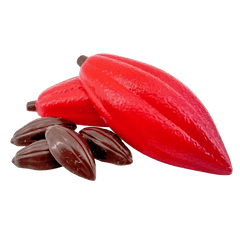 White chocolate cacao pod with pralines 100g 5407008478957 The Belgian Chocolate Makers